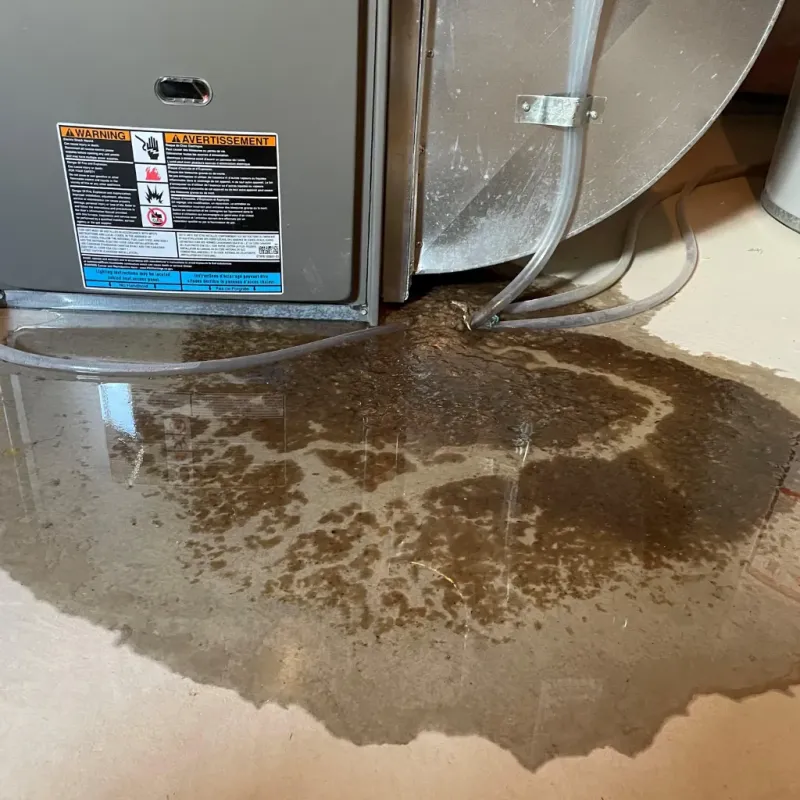 Appliance Leak Cleanup in Youngsville, NC